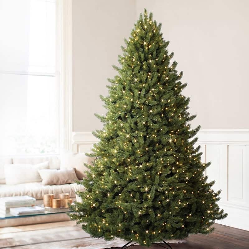  High End Christmas Trees News Update