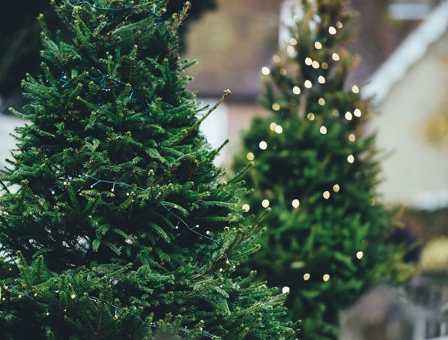 Christmas Tree Lights Safety Tips