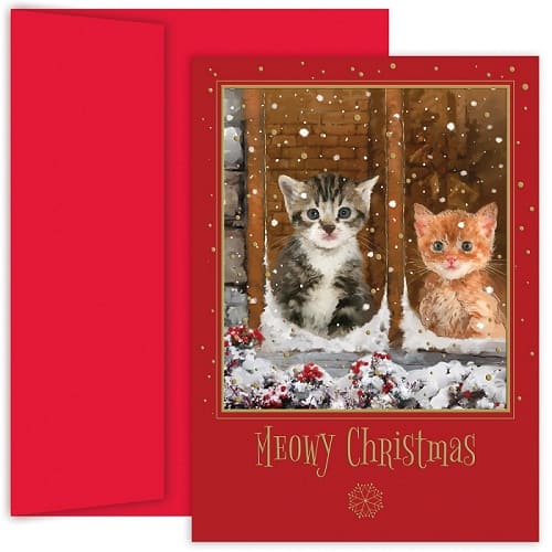 10-cute-and-funny-cat-christmas-cards-absolute-christmas