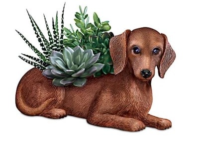 Dachshund Planter With Faux Succulents
