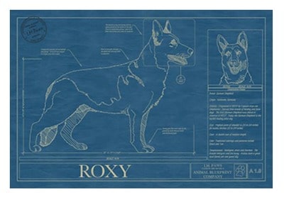 Personalized Dog Blueprints