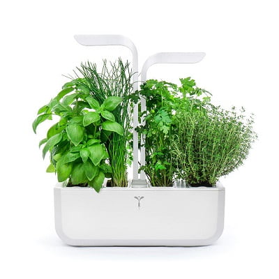 LED Self-Watering Multi-Herb Garden
