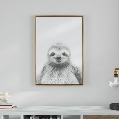 Sloth Portrait Framed Photographic Print