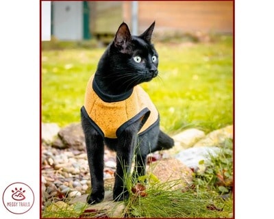Winter Fleece Sweater For Cat