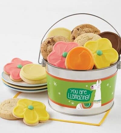 You Are Llamazing Cookie Pail