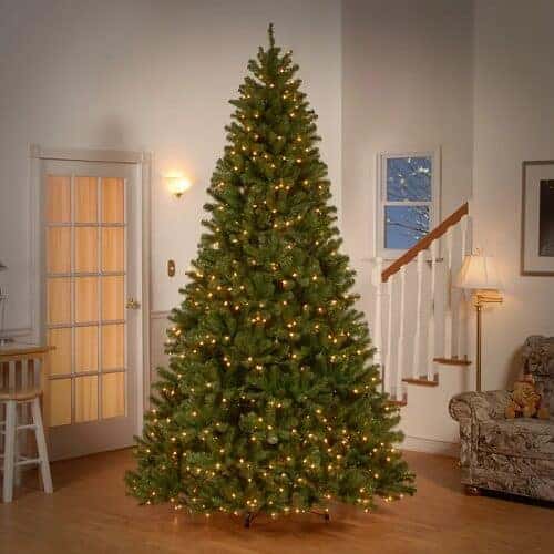 9 ft. Norwood Fir Christmas Tree with Lights