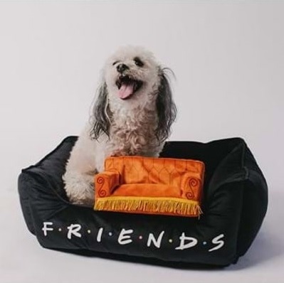 Central Perk Couch Squeaky Toy for Dogs
