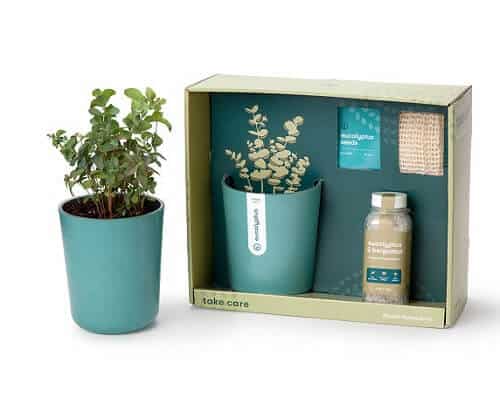 Just Breathe Eucalyptus Spa Gift Set