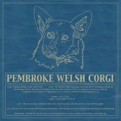 Corgi Blueprint Pillows