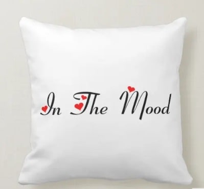 In The Mood - Not Tonight Pillow