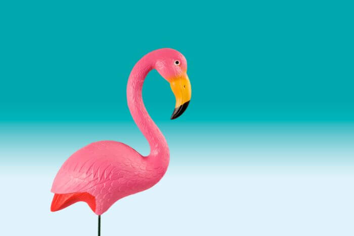 25 Flamboyant Gifts for Flamingo Lovers