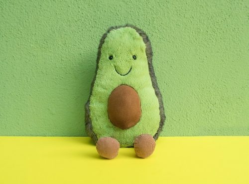 Gifts for Avocado Lovers - Avocado Themed Gift Ideas