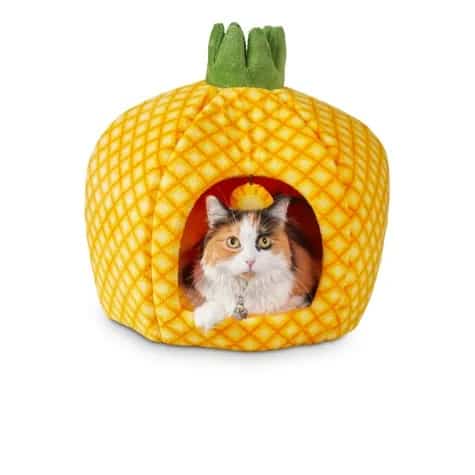 Pineapple Cat Bed