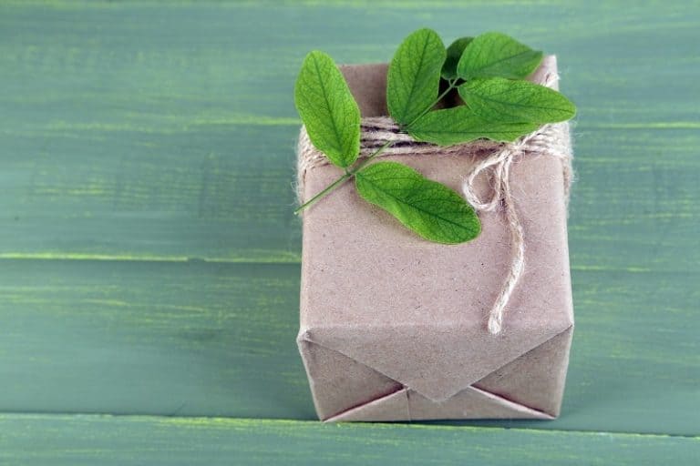 25 Best Vegan Gifts – Cruelty-Free Gift Ideas