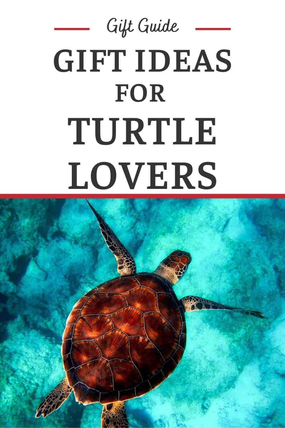 Turtle Gifts - Gifts for People Who Love Turtles