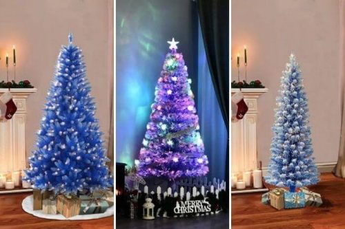 Blue Christmas Trees
