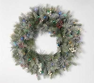 Illuminated Frosted Pine & Berry Christmas Wreath