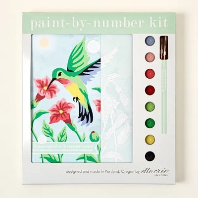 Hummingbird Paint-by-Number Kit