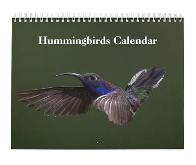 Hummingbirds Calendar 2022