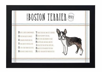 Boston Terrier Poem Art