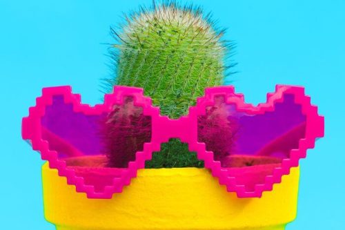 Cool Cactus Themed Gifts