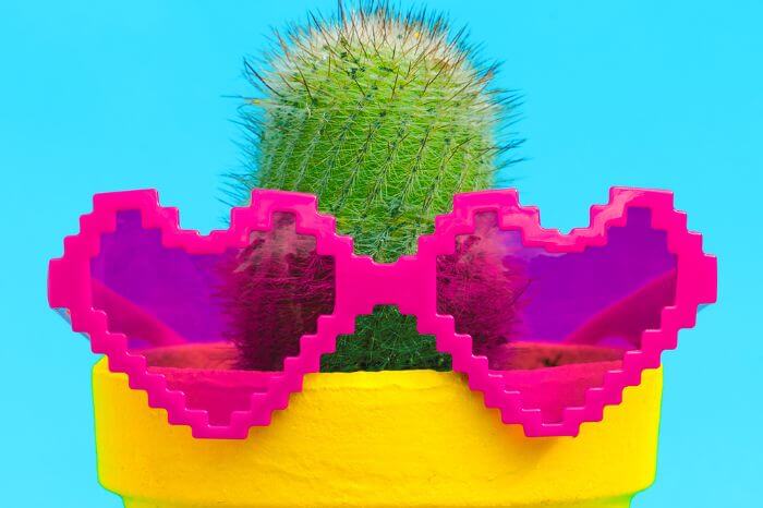 27 Cool Cactus Themed Gifts