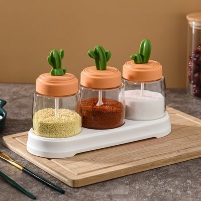 Cactus Seasoning Jar Combination Set