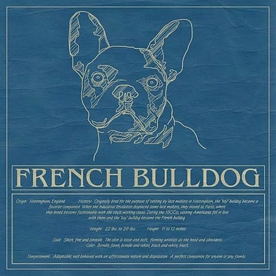 French Bulldog Blueprint Pillow