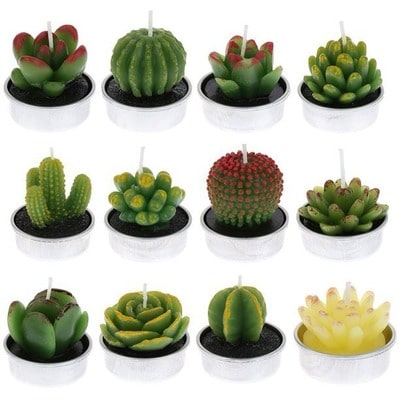 Handmade Mini Cactus Candles