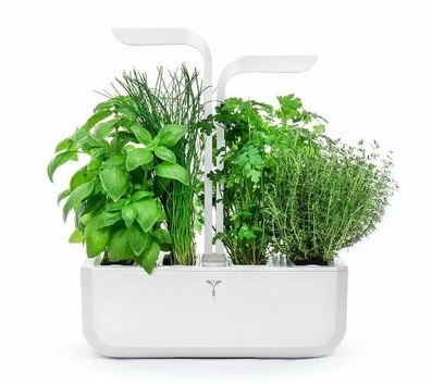 Self-Watering Herb Garden