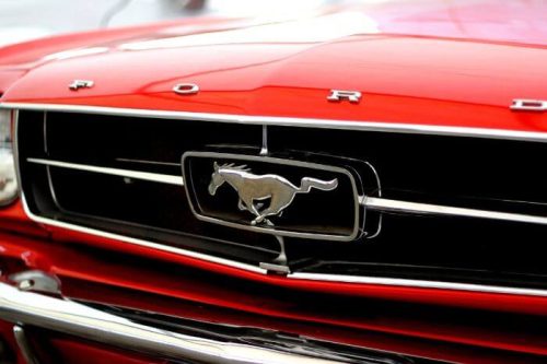 Best Ford Mustang Gifts
