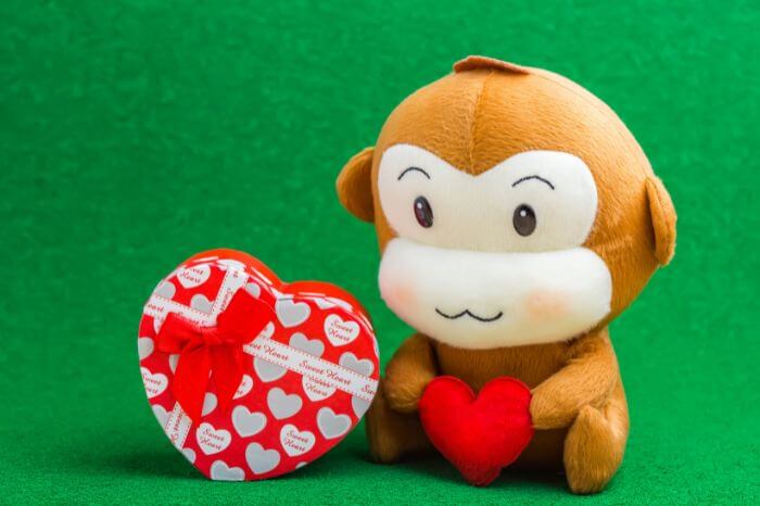Best Gifts for Monkey Lovers