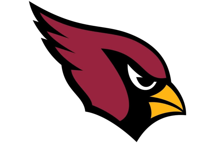 Best Arizona Cardinals Gifts for Fans | NFL Gifts