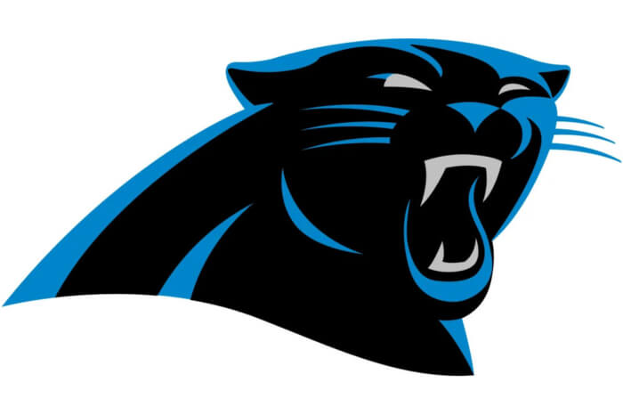 Carolina Panthers Gifts for Fans | NFL Gifts