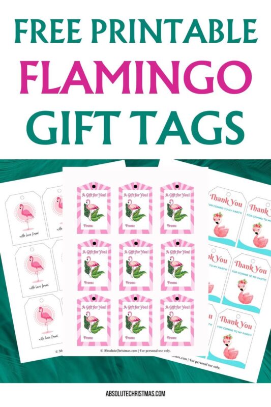 Printable Flamingo Gift Tags Pin